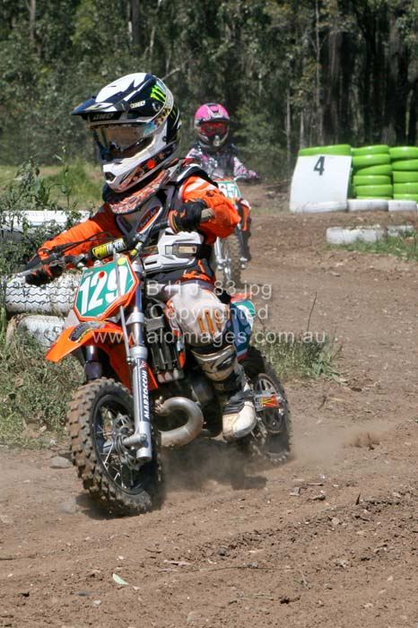 444x677 pixels (81K)